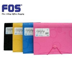 CBE Expanding File F4316 (13 Pockets)